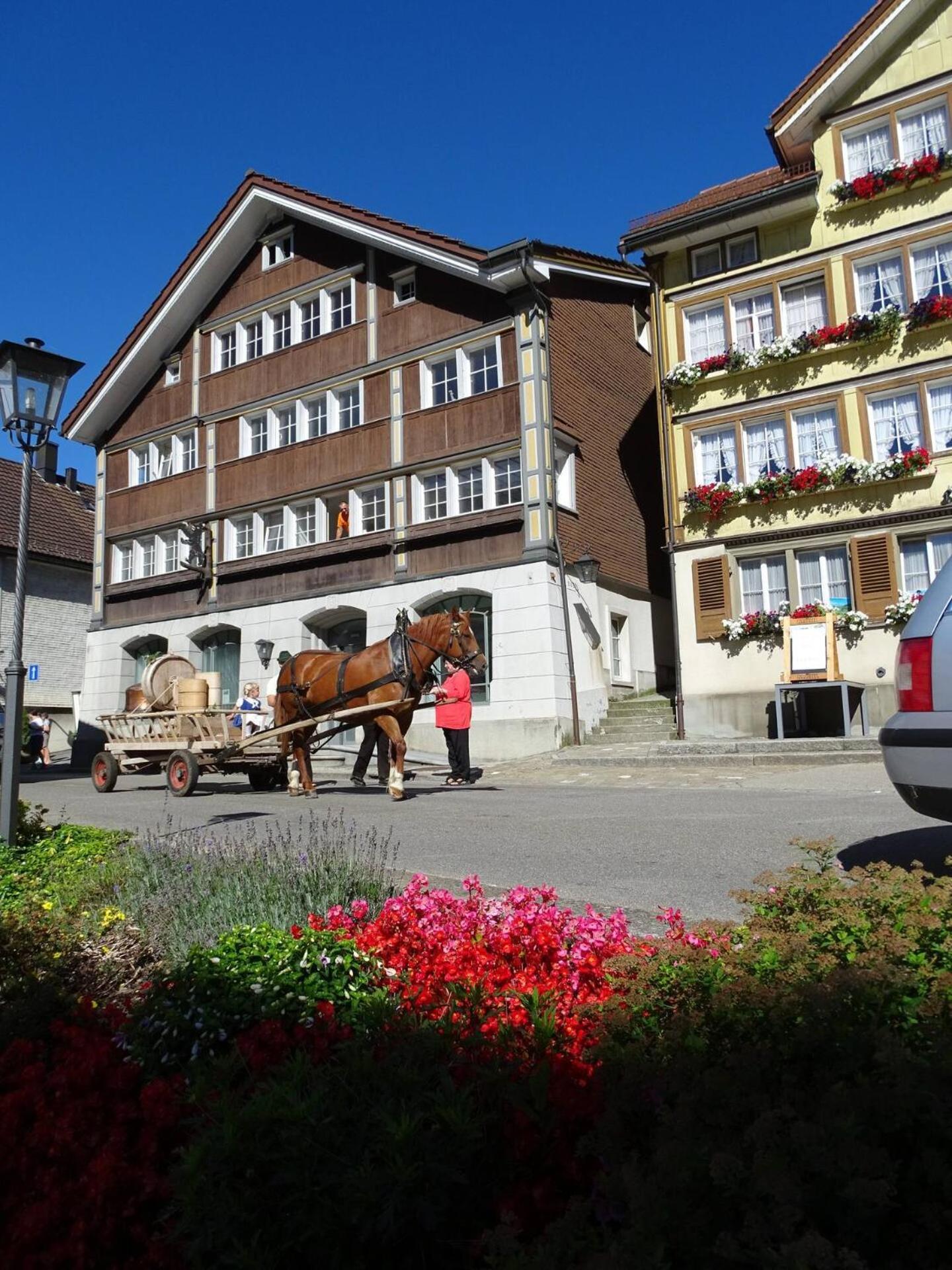 Alpen-Paradies Edelweiss Urnasch Luaran gambar